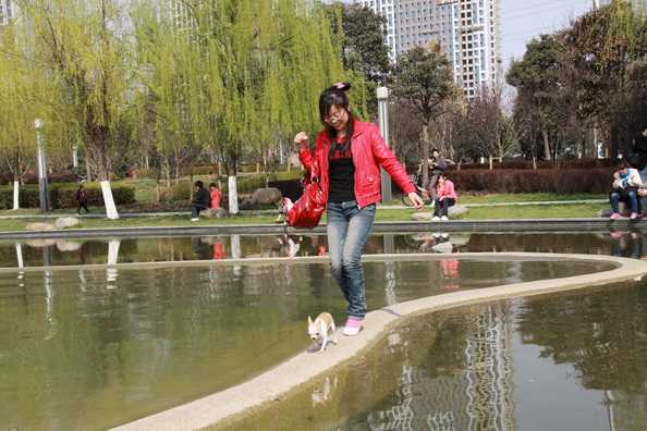 207_46010_ced410e65e50b18.jpg